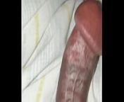 Bengali cock erection from big erect penis