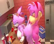 Amy x Blaze leviantan581re from amy rose animation 3d