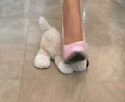 Pink high heels teddy bear crushing from flip flop cock trample