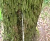 Man pissing on a tree from penis tree