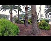 TRAVEL SHOW ASS DRIVER - Gran Canaria, Maspalomas Lighthouse with Sasha Bikeeva from short collection series vlog islander