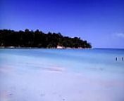 L'isola adamo ed eva from island nude video3gp