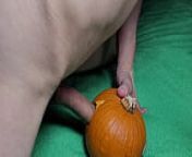 On Halloween I fuck a wet pussy and a pumpkin. What is better? from www xxx cos w
