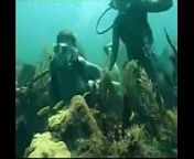 Scuba sex from underwater japanese