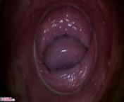 PJGIRLS - Camera deep inside Paula Shy's vagina (Full HD Pussy Cam) from hot teen melody marks