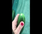Muslim Girl Likes Vegetable Dildos from chubby egyptian wife copulates like a whore for webcam