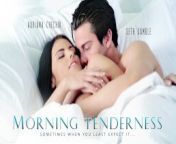 Beautiful Adriana Chechik Early Morning Romp wt BF - EroticaX from sxey video ben