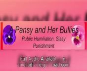 A Pansy and Her Bullies... from pansy brahma