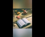 Exodus 12-16 KJV (Full Bible Read Through Video #13) from hd video 13 xxx10sex comian