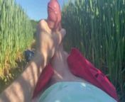 Outdoor masturbation in field of wheat, Big cock jerked under the sky on a sunny day, Cumming hard from sunny leon sex al