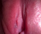 Close up pussy spreading and dirty talking from close up virginity