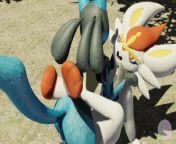 Cinders on the groin Queen Blush from lucario cums