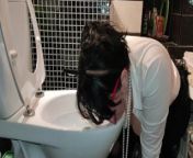 Pig slut toilet licking humiliation from humans and sex
