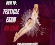 SHORT Self Genital Exam NO CUM Audio JOI - ASMR Nurse Sex Education Health Penis Examination How To from testicle penis