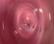 Internal camera inside tight creamy Vagina, Dick's POV from chamas