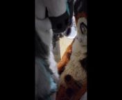 This Big Kitty Fucks His Wife Before Shower - Maho & Xytan from florencywg