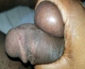 My dick after making sex from amalia pal van sex xxx leo